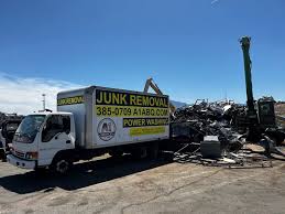 Best Hoarding Cleanup  in Roselawn, IN