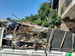 Best Yard Waste Removal  in Roselawn, IN