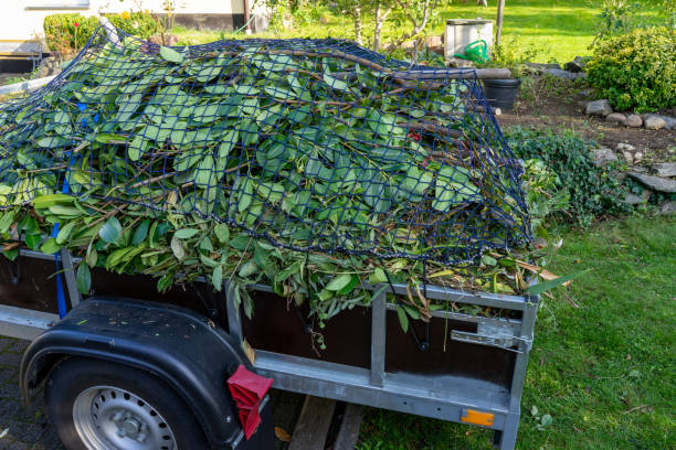 Best Construction Debris Removal  in Roselawn, IN